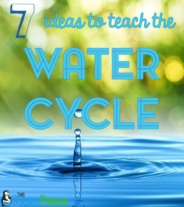 5th grade water cycle test pdf