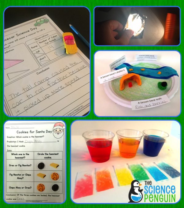 Science Projects For Kindergarten And First Grade Kindergarten