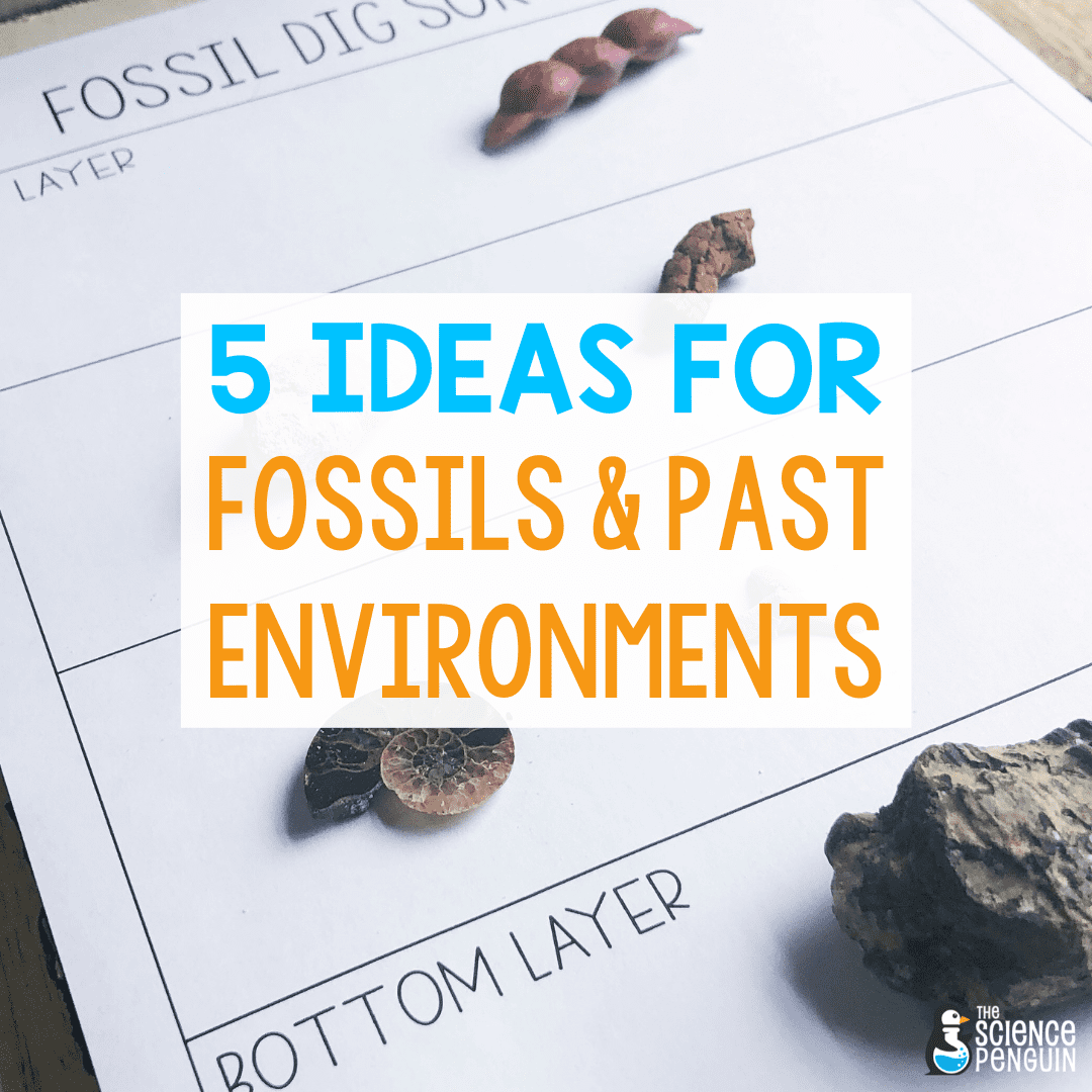 Teach It: 5 Ideas For Fossils And Past Environments — The Science Penguin