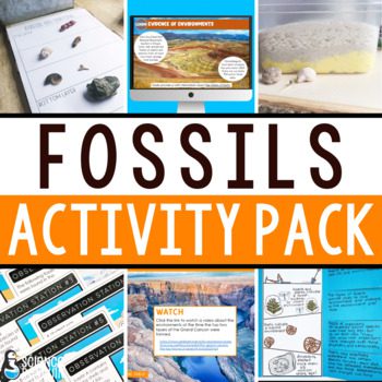 Teach It: 5 Ideas for Fossils and Past Environments — The Science Penguin