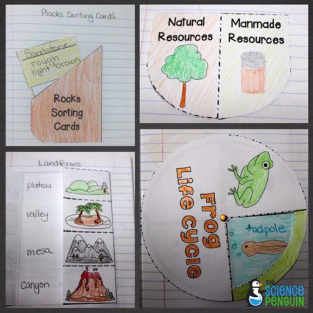 Science Interactive Notebook templates for 1st grade and 2nd grade