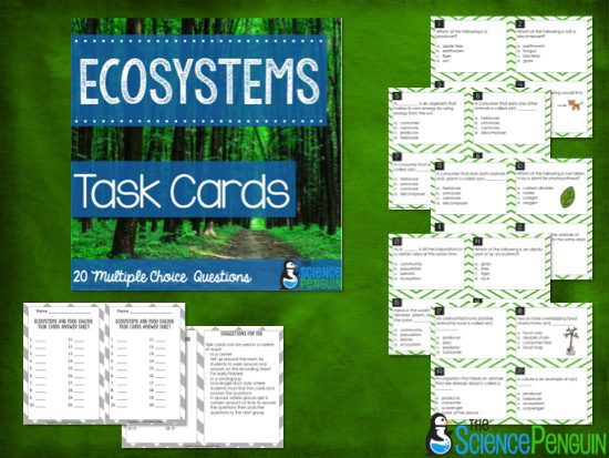 Science Task Cards Options and Bundle — The Science Penguin