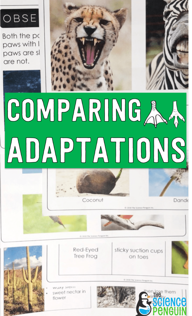 5-ideas-to-teach-animal-and-plant-adaptations-the-science-penguin