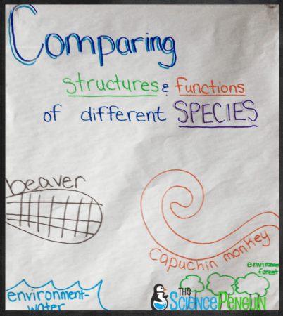 5 Ideas To Teach Animal And Plant Adaptations The Science Penguin