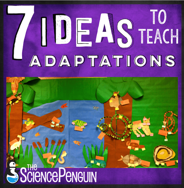 7 Ideas to Teach Animal Adaptations — The Science Penguin