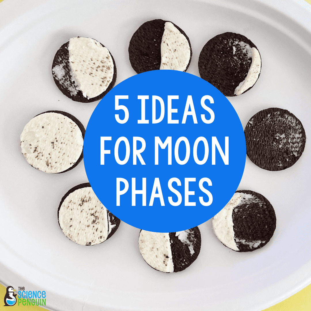 Moon Phases Project FREEBIE