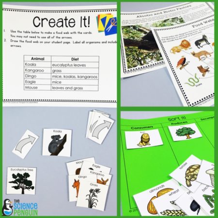 Ecosystems Science Stations Unit: Food Webs And Abiotic And Biotic 