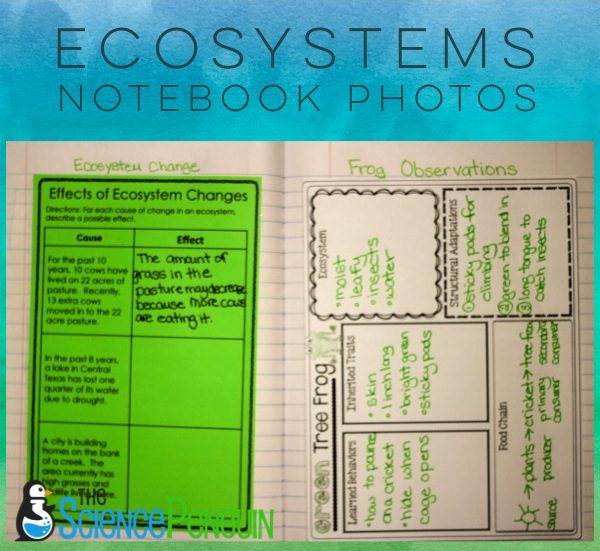 Ecosystems Science Notebook — The Science Penguin