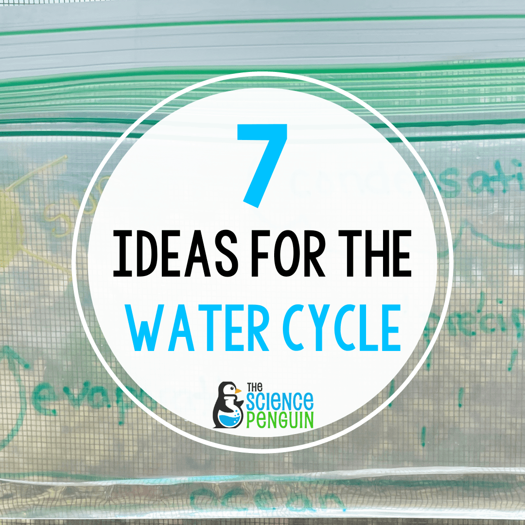 The Water Cycle - ThingLink | Water cycle, Water cycle for kids, Simple water  cycle