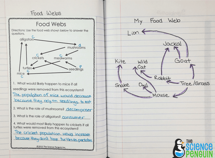 Chapter Worksheets Teacher