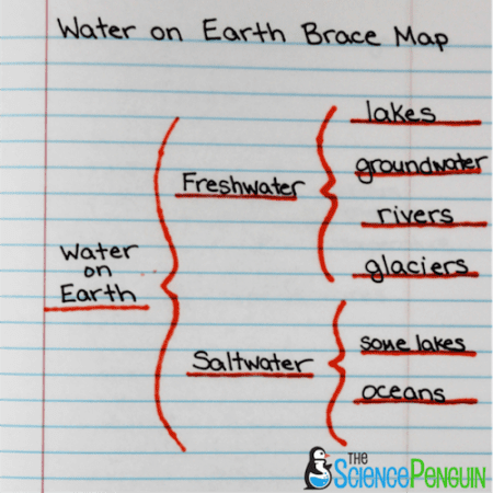 Using Thinking Maps in Science: Brace Map