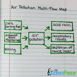 Using Thinking Maps in Science: Multi-Flow Map — The Science Penguin