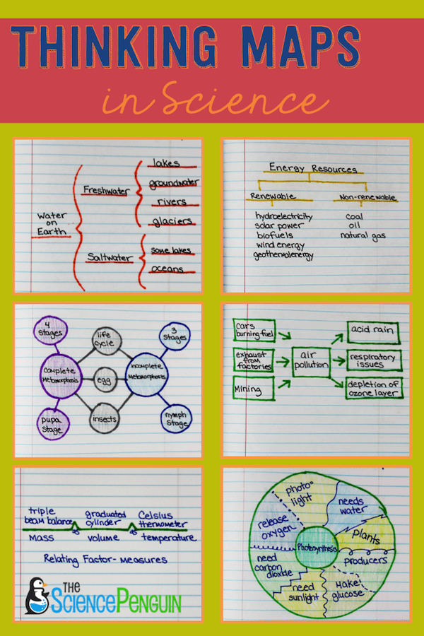 Using the 8 Thinking Maps in Science: Examples and Pics — The Science ...