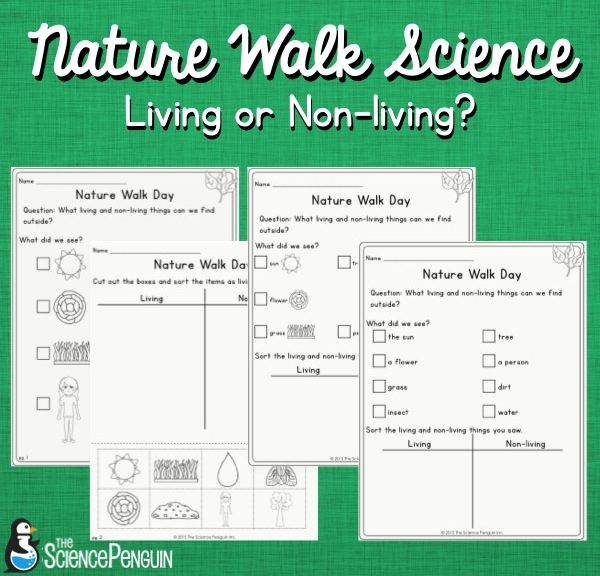 Nature Walk Science: Living or Non-living?