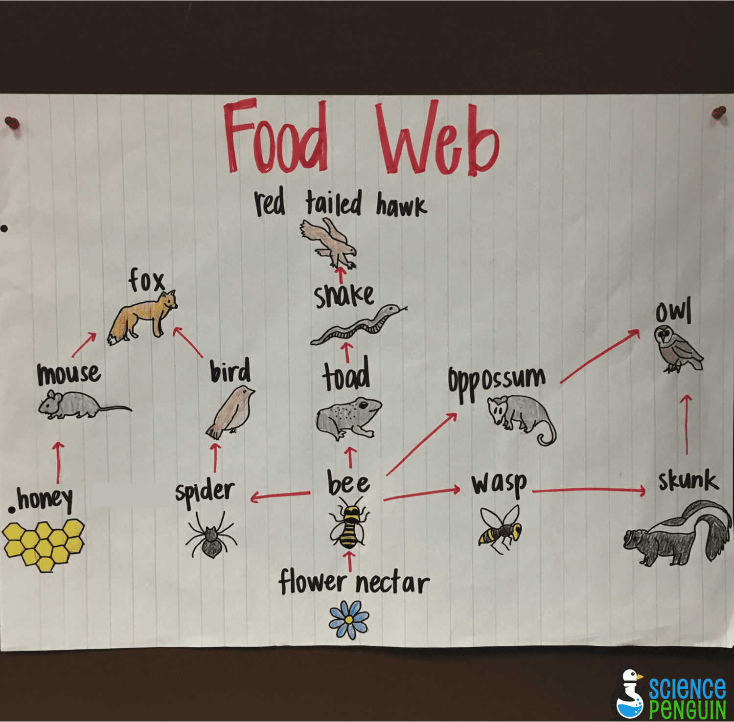 Food Web To Use With What If There Were No Bees The Science Penguin