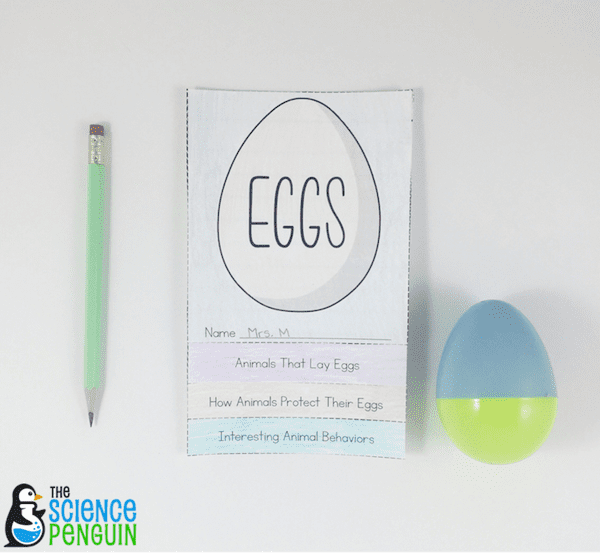 Ideas and a free flapbook to use with Egg: Nature's Perfect Package. This activity is awesome for a life cycles unit or an Easter theme.
