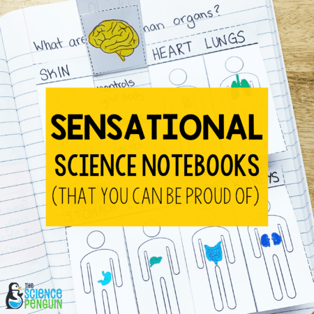 Sensational Science Notebooks