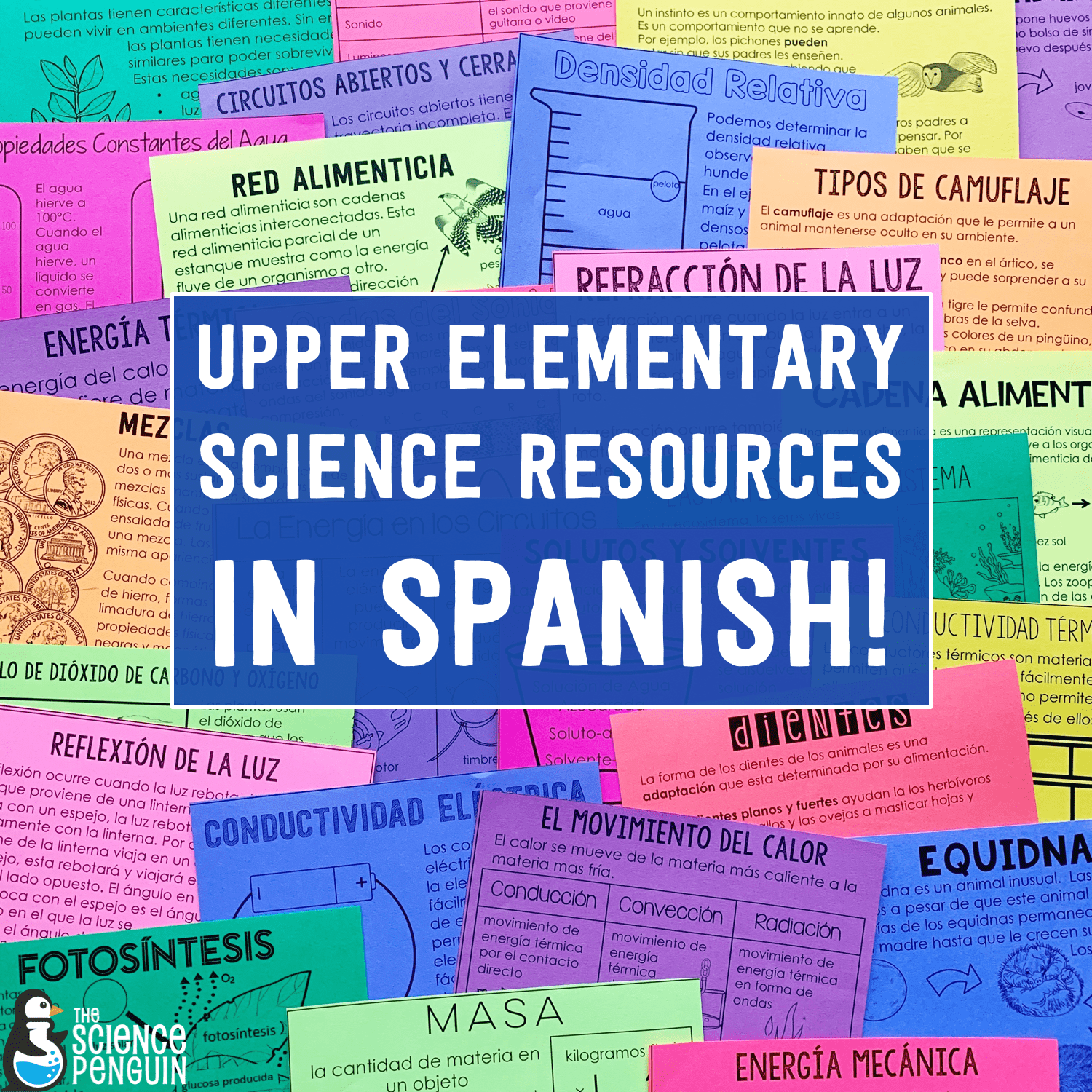 How To Say My Favorite Class Is Science In Spanish