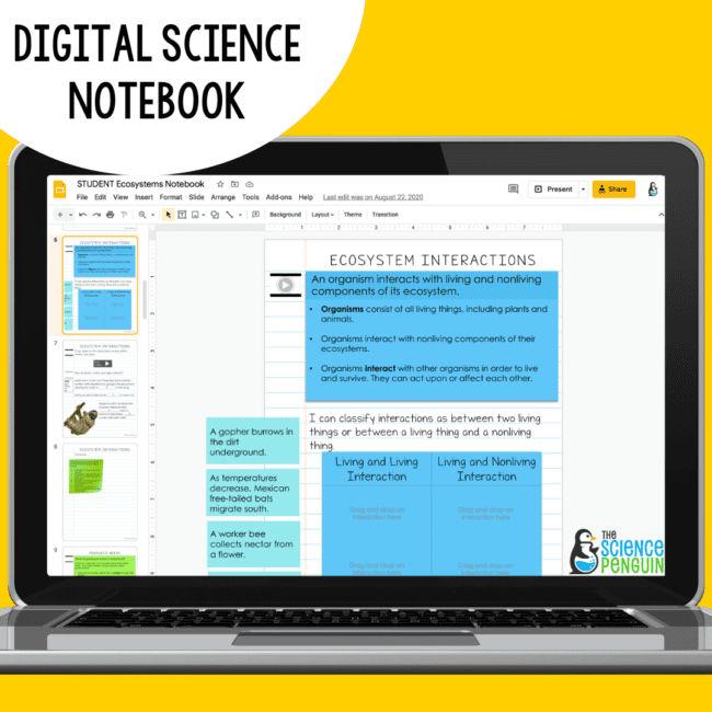 7 Ideas to Teach Ecosystems and Food Webs