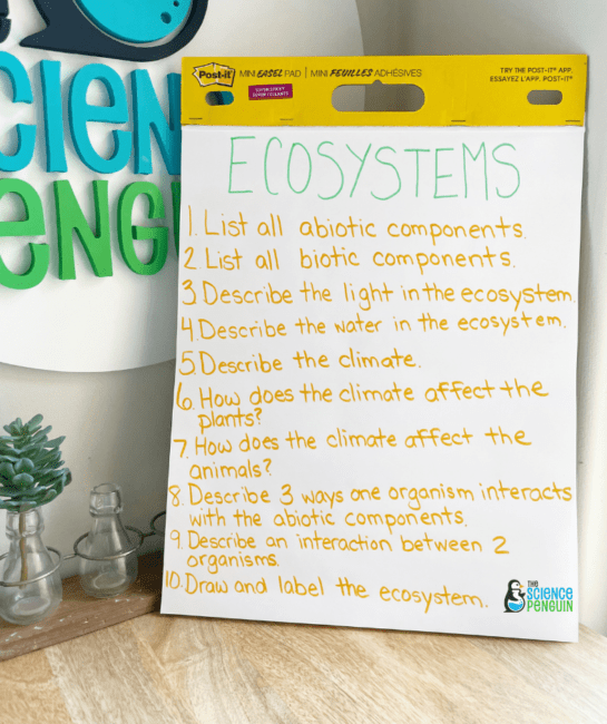 5 Ideas To Teach Students About Ecosystem Interactions — The Science 