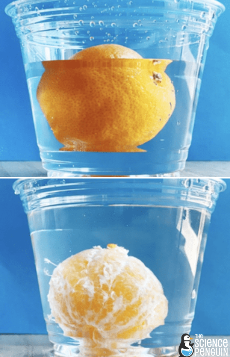 Beyond Sink or Float: 10 Ideas for Teaching Relative Density — The ...