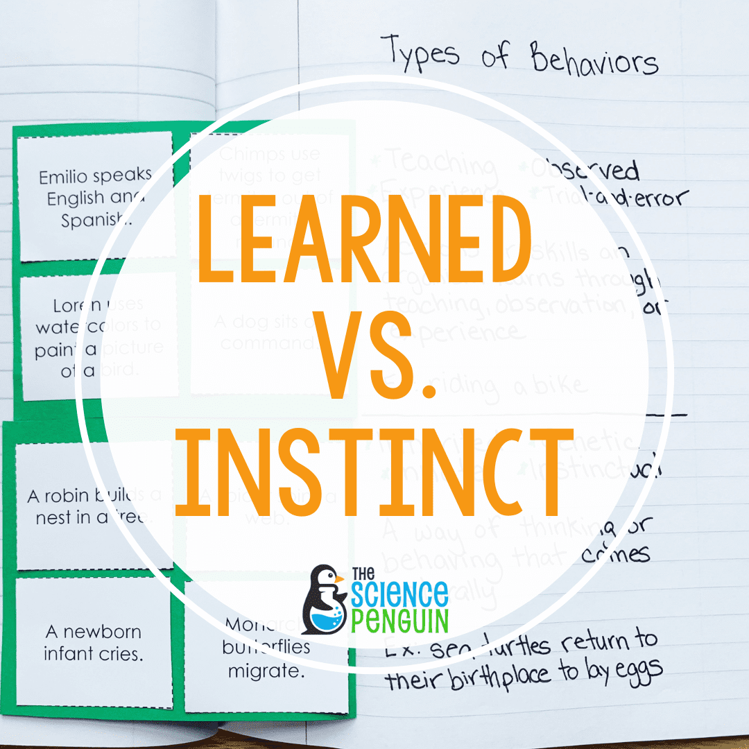 Learned Behaviors vs. Instincts: Learning about Animal Behavior — The  Science Penguin