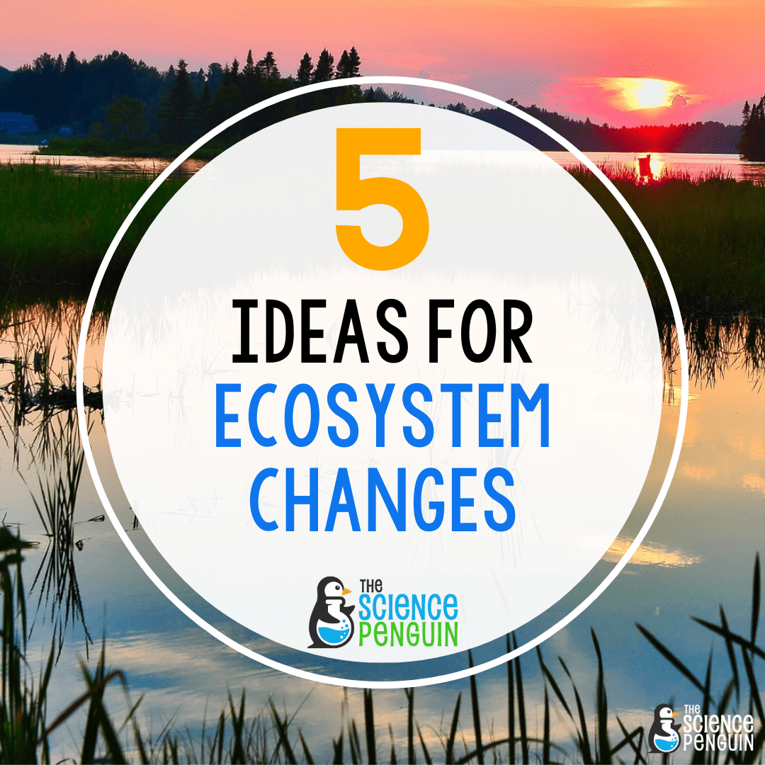 5 Ideas for Changes in Ecosystems — The Science Penguin