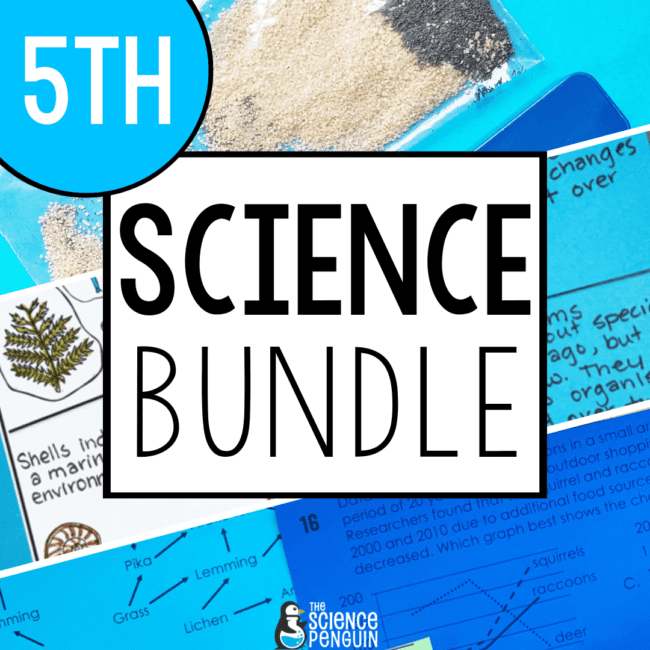 5th grade science activities