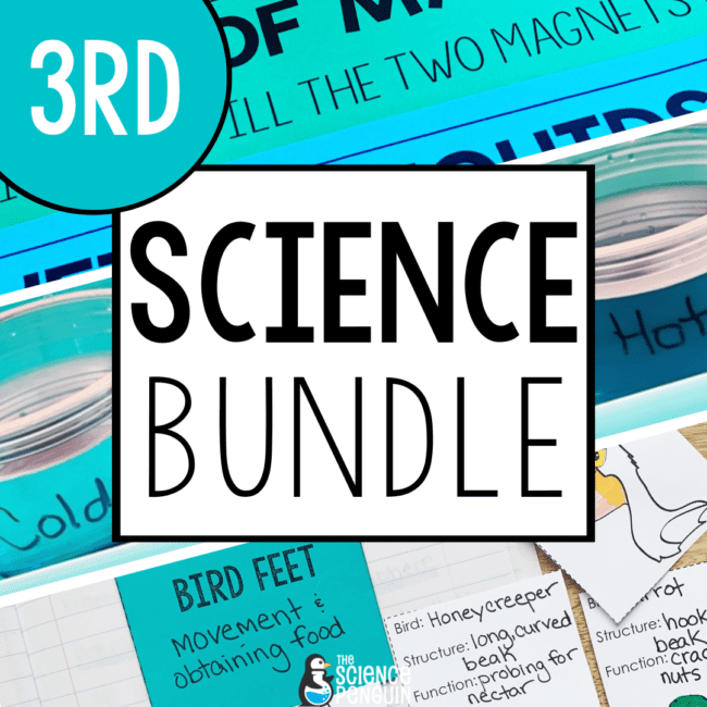 3rd grade science TEKS activities